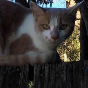 Meet your Posher, Becky